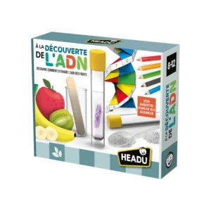 Découverte de l'ADN