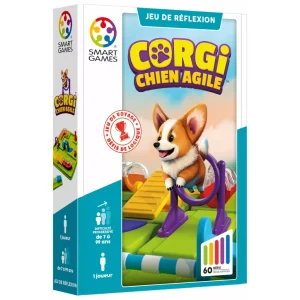 Corgi chien agile